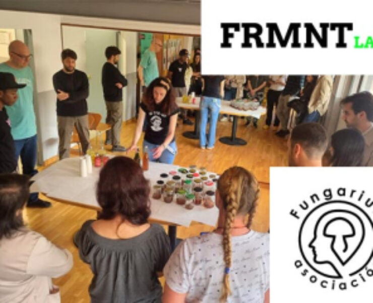 Fermenta amb Fungarium · Sessió 1: Microbiologia a la cuina i fermentats casolans