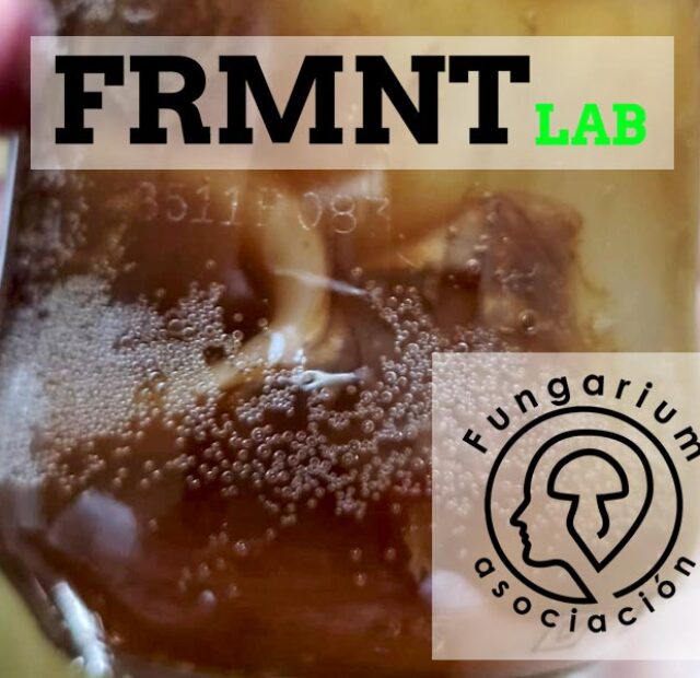 Fermenta amb Fungarium · Sessió 2: Kombutxa, ciència i elaboració casolana