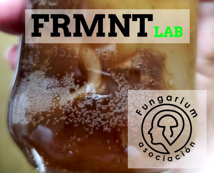 Fermenta amb Fungarium · Sessió 2: Kombutxa, ciència i elaboració casolana